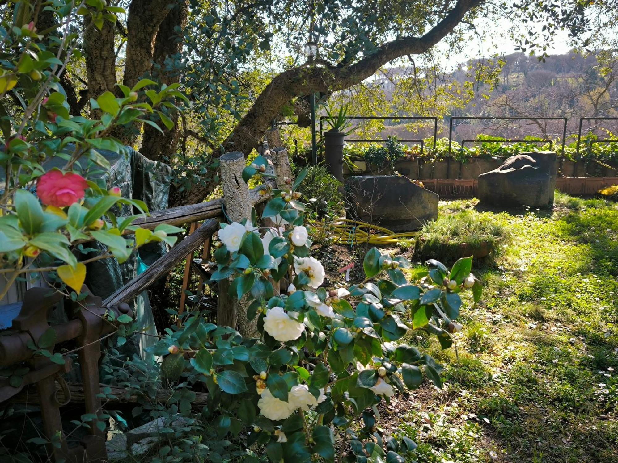 Cassia, Luminoso Open Space Nel , Casa Dei Leoni Appartement Rome